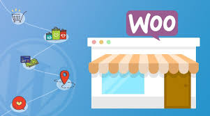 Advanced WooCommerce Store case study thumbnail